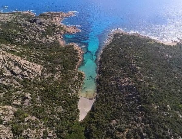 CALA LONGA TOUR DE SENETOSA